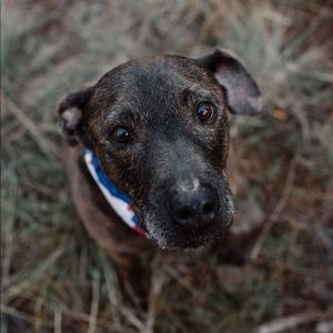 Meet your Posher, Catherine